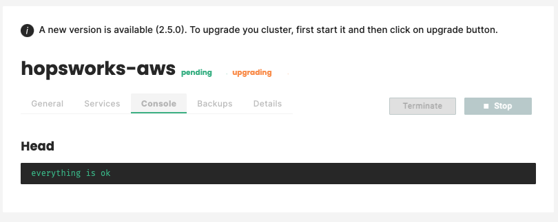 AWS Upgrade starting