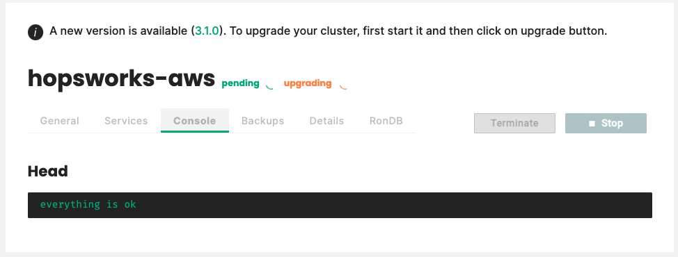 AWS Upgrade starting