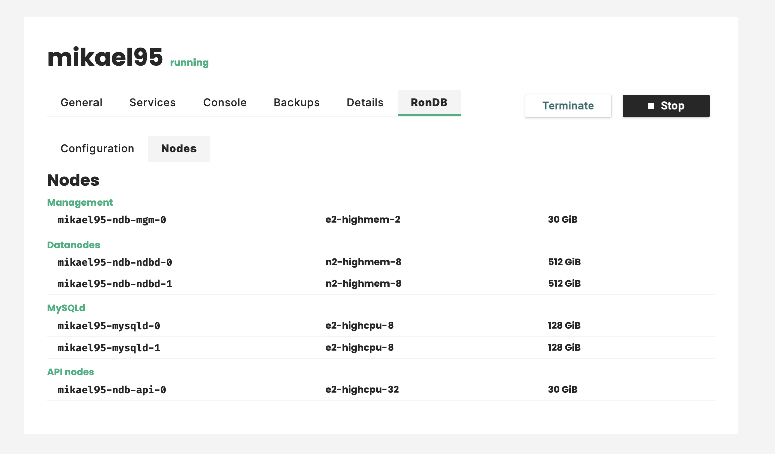 RonDB cluster details