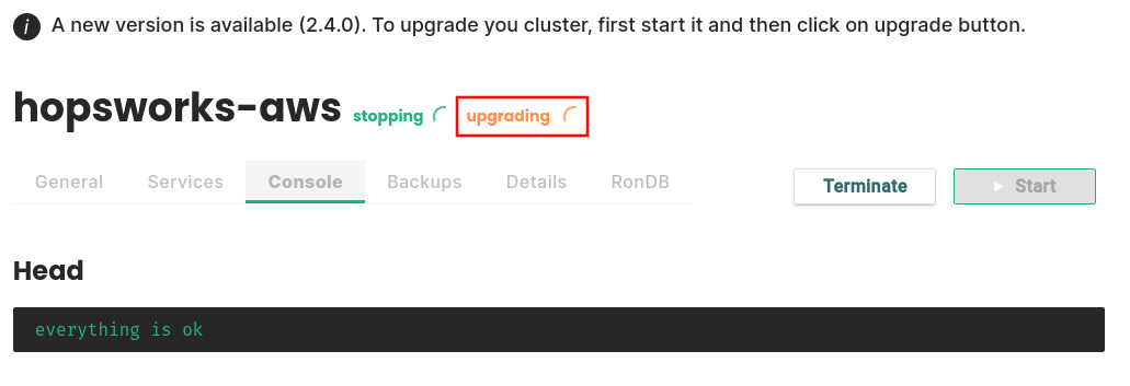 AWS Upgrade starting