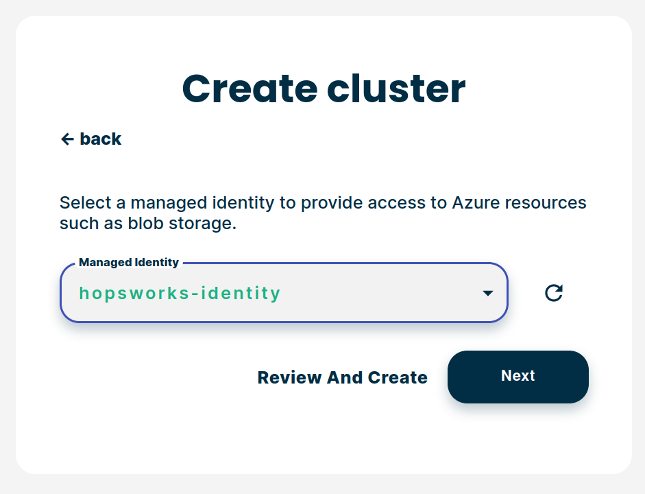 Choose the User assigned managed identity