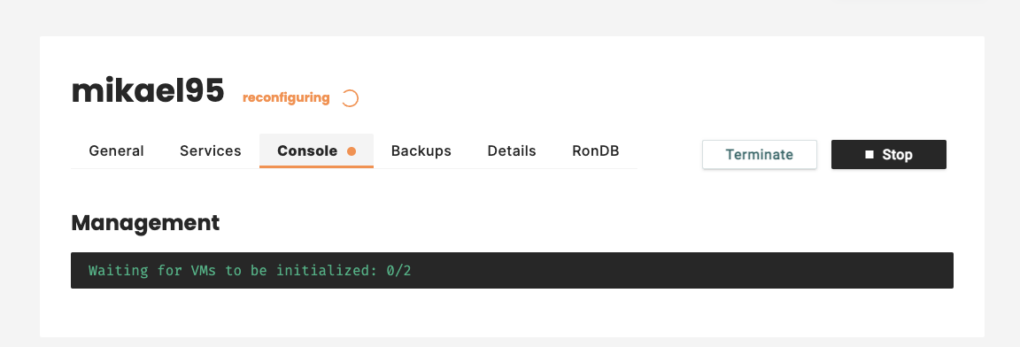 Reconfiguration Console Waiting for Initialisation of VMs