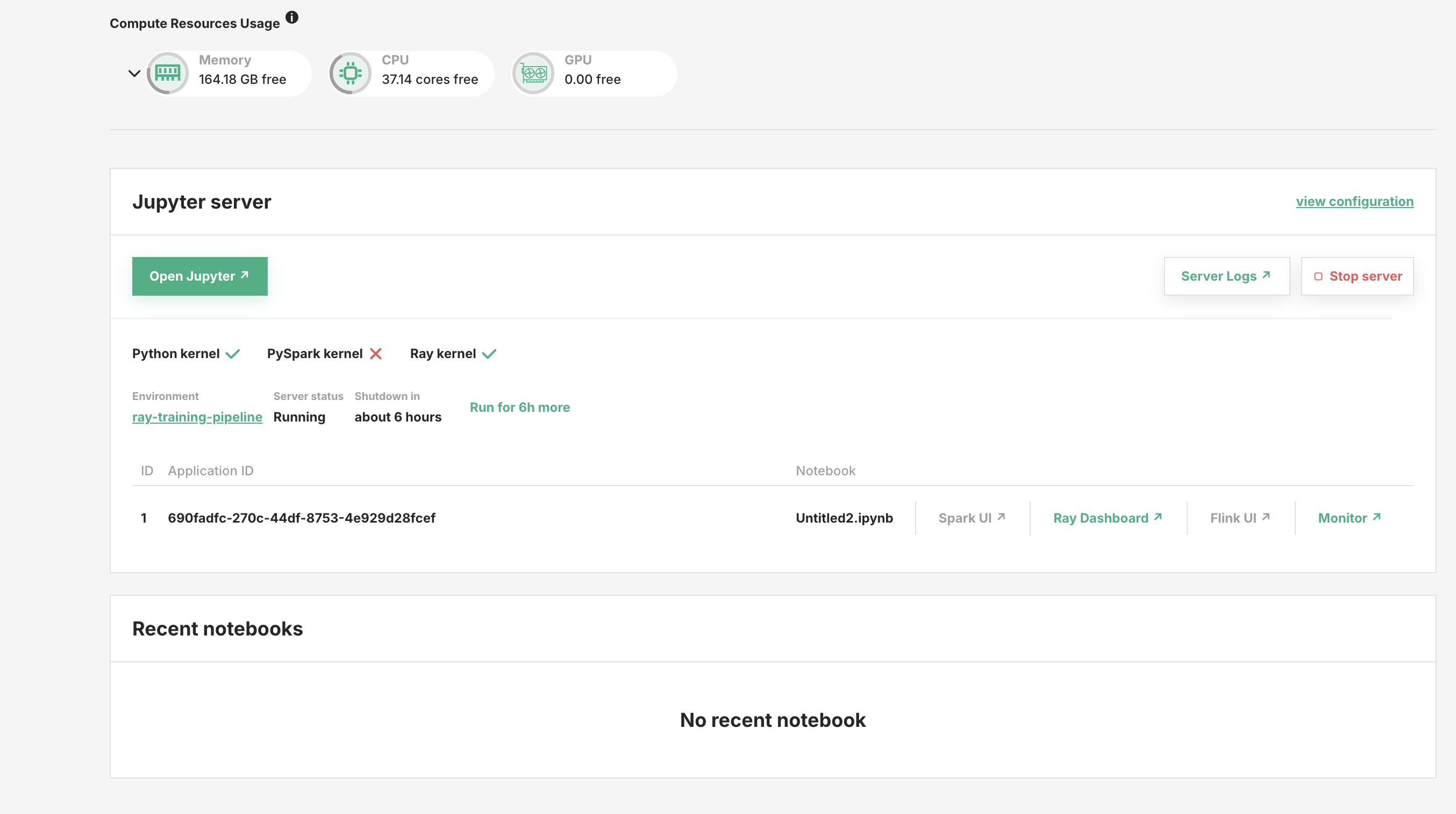 Access Ray Dashboard