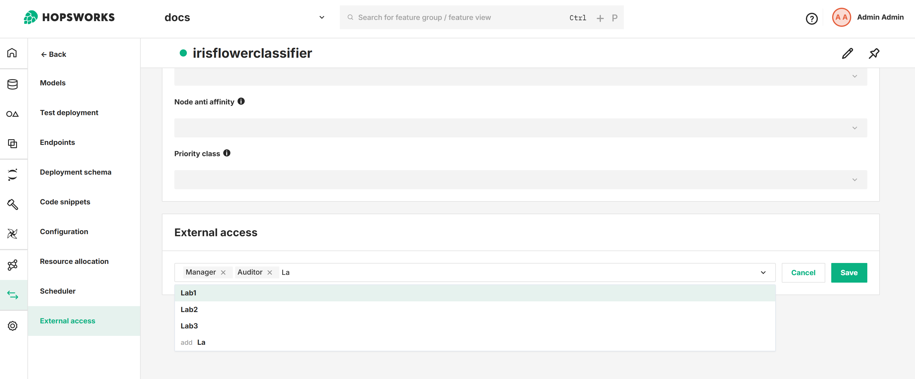 Deployment external access