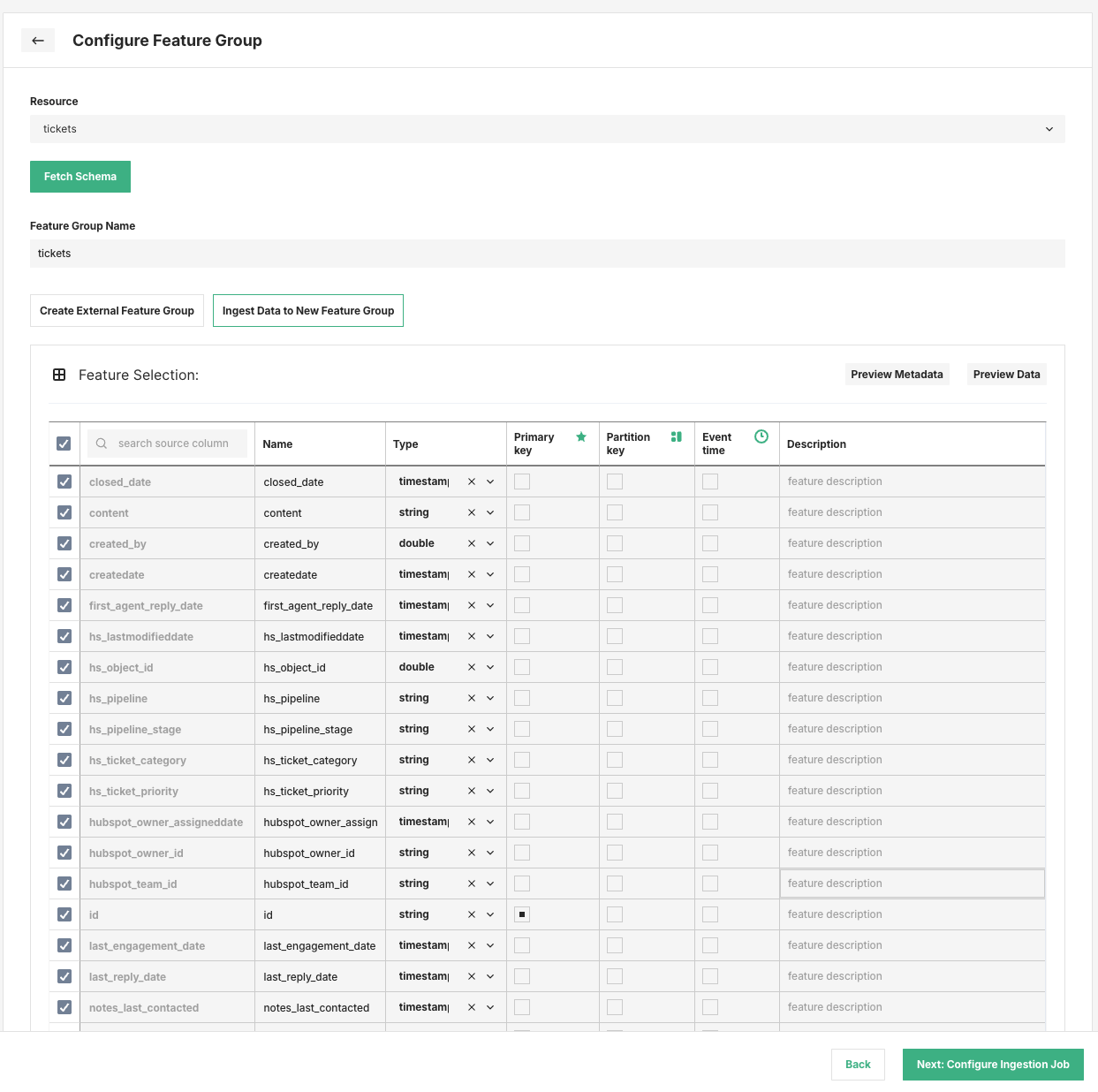 dltHub CRM Feature Group Selection