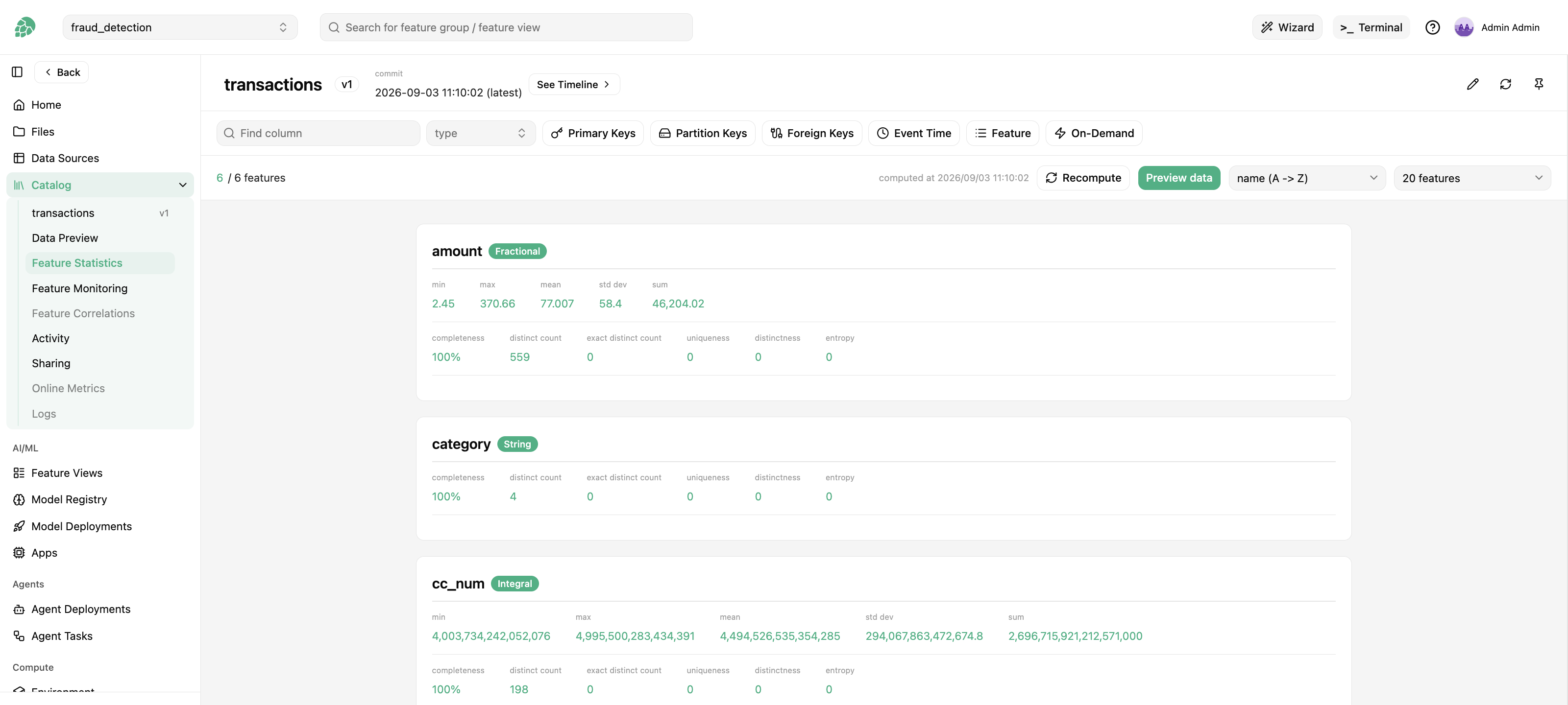 Feature Statistics page listing every feature with its descriptive statistics