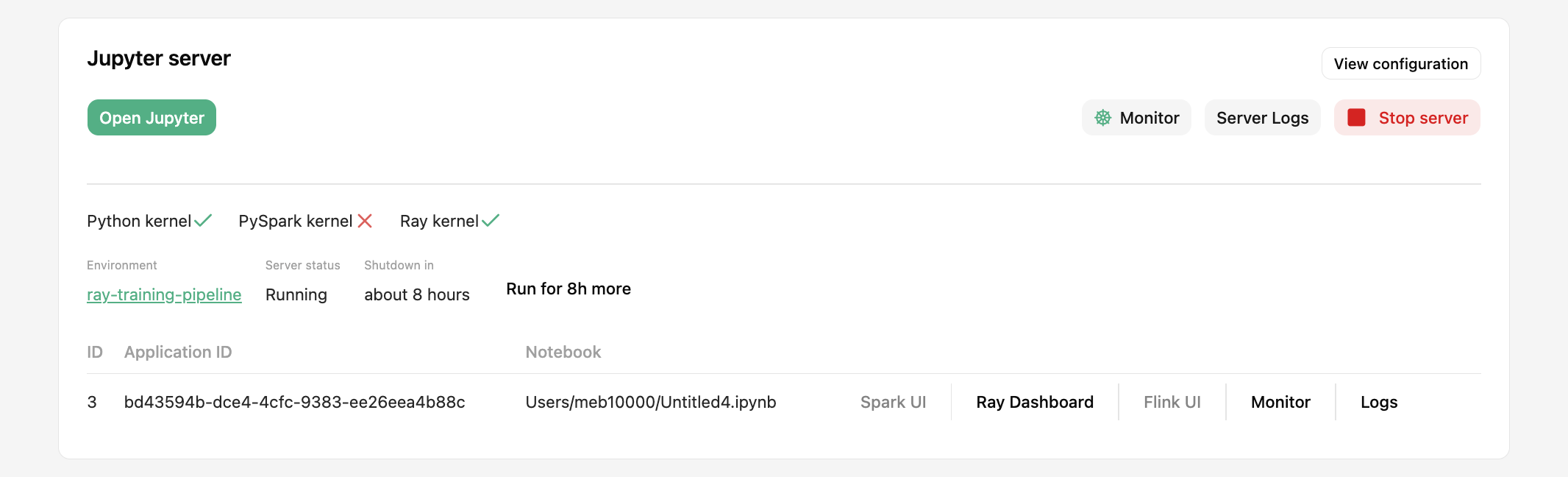 Access Ray Dashboard