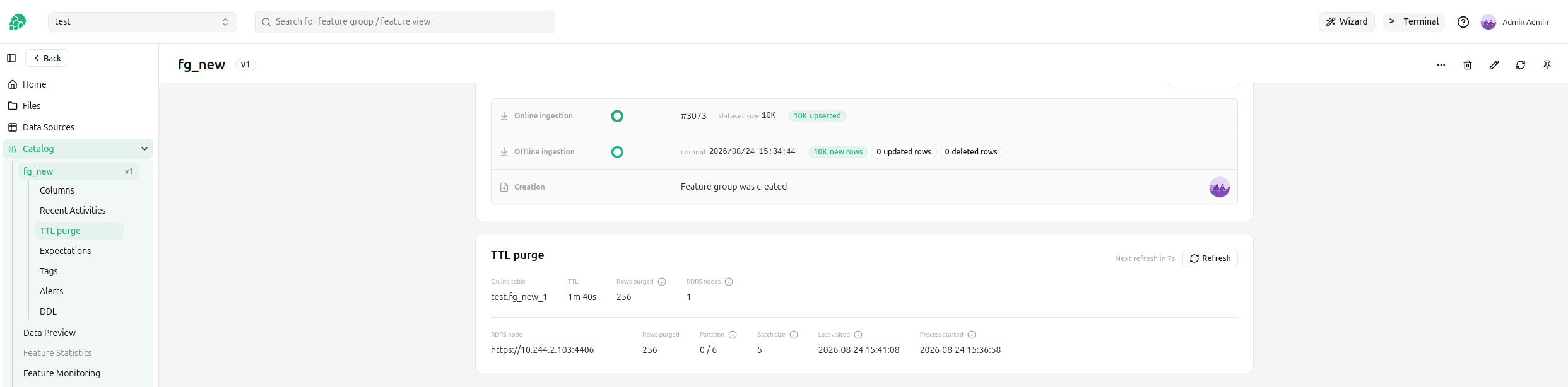 TTL purge card on the feature group overview