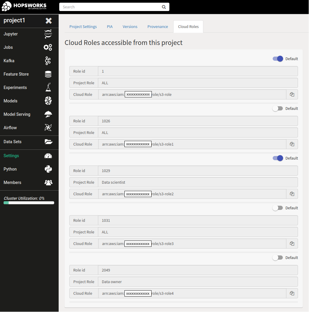 Resource role mapped to project.