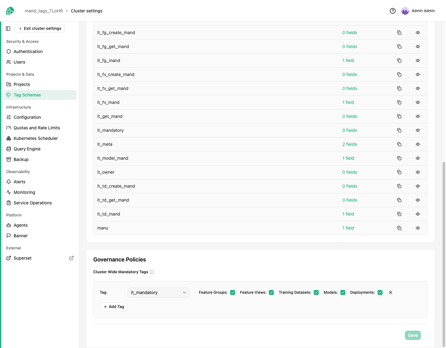 Configure cluster-wide mandatory tags under Cluster settings, Tag Schemas