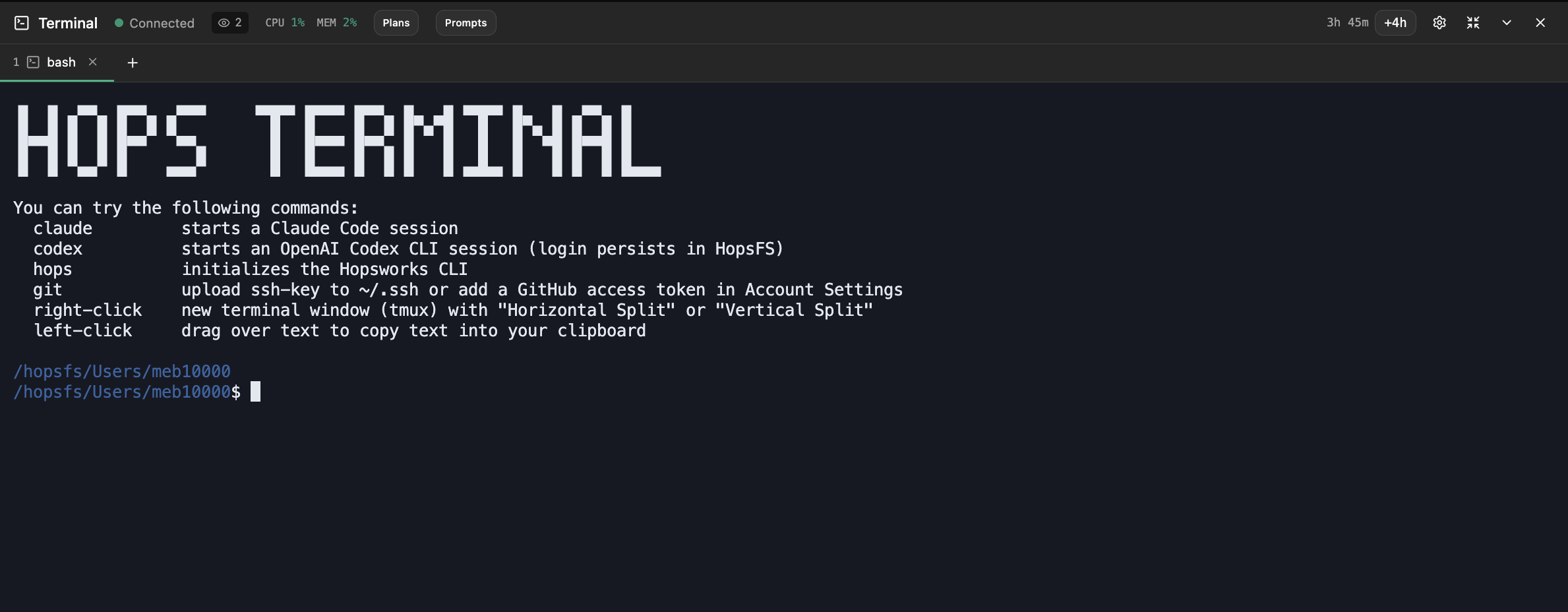 Connected terminal session